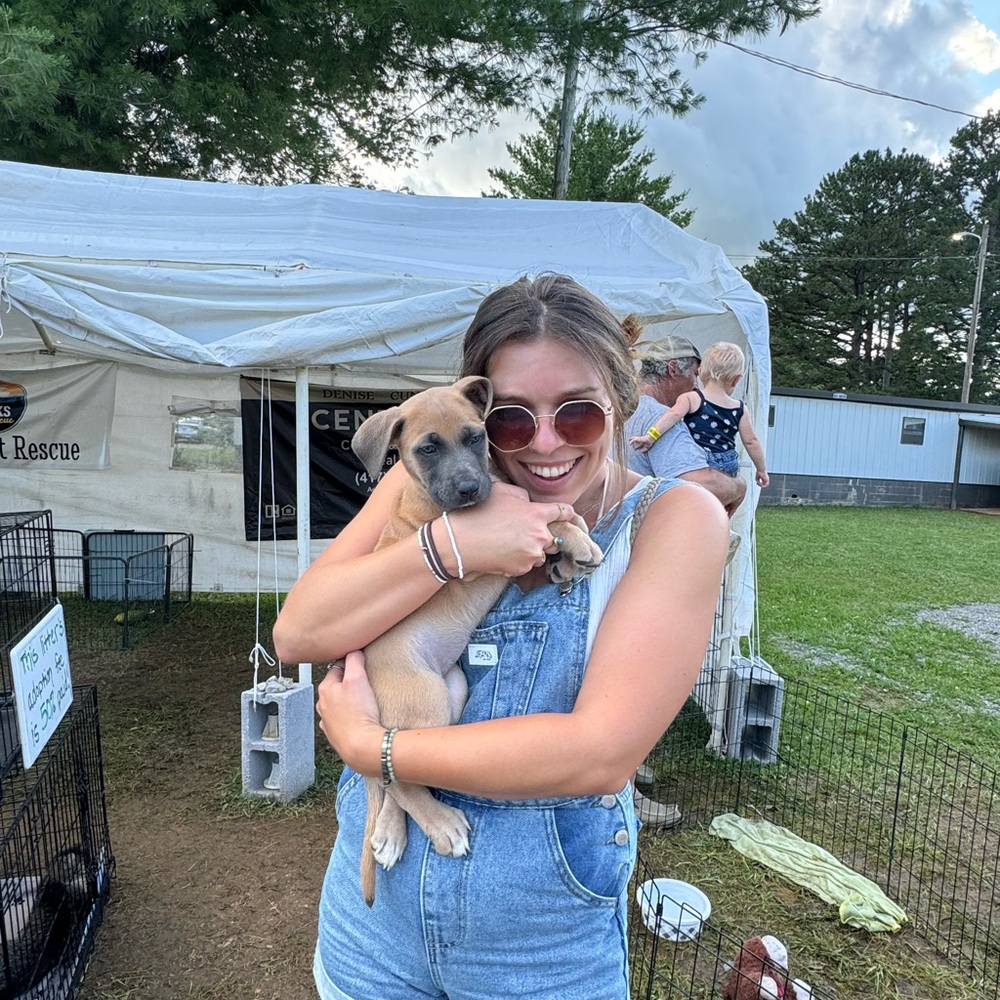 SHEIN Distressed Blue Denim